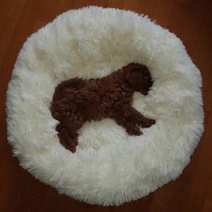 Antistres PET Čupavac