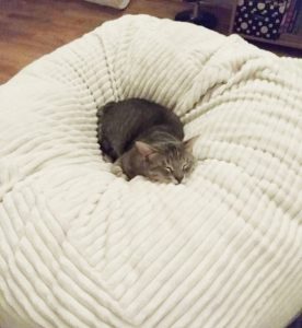 Pet Štraftica White