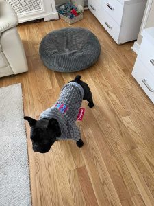 PET Dremko Šišmiš